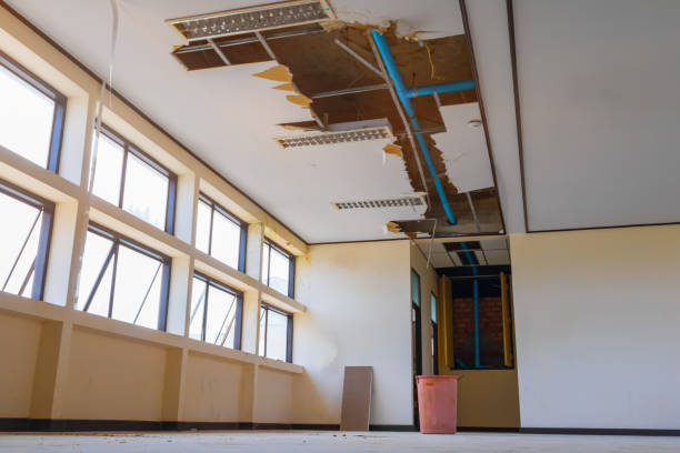 Water damage restoration mold remediation in Big Beaver, PA