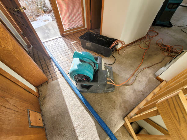 Trusted Big Beaver, PA Water damage restoration Experts