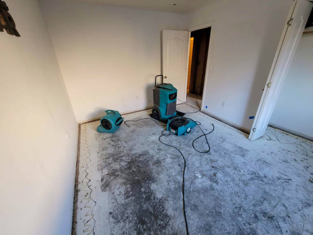 Best Water damage restoration services  in Big Beaver, PA