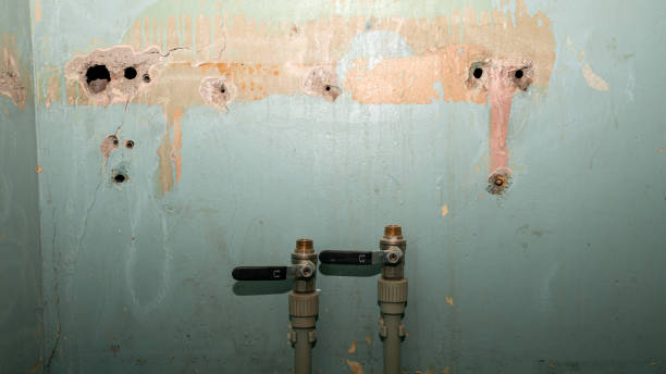 Best Carpet water damage restoration  in Big Beaver, PA