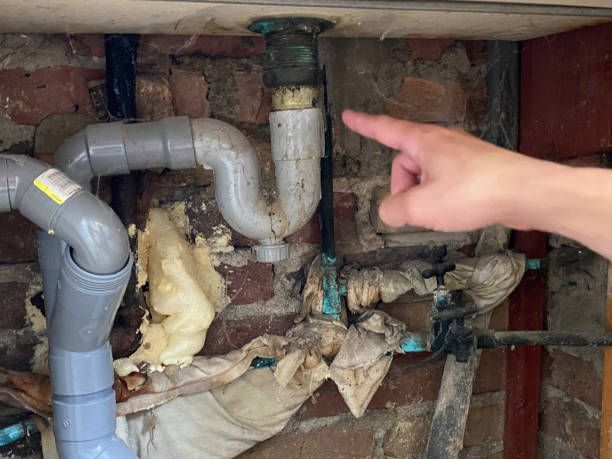 Best Flood damage cleanup  in Big Beaver, PA